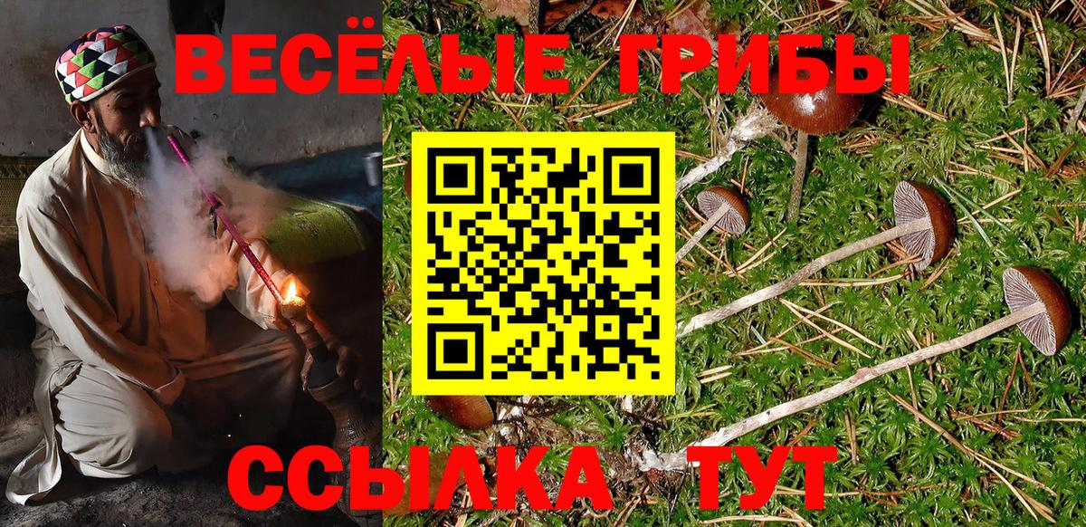 Псилоцибиновые грибы мухоморы  где купить наркоту  Вход с VPN  Гуково  Галлюциногенные грибы Cubensis 