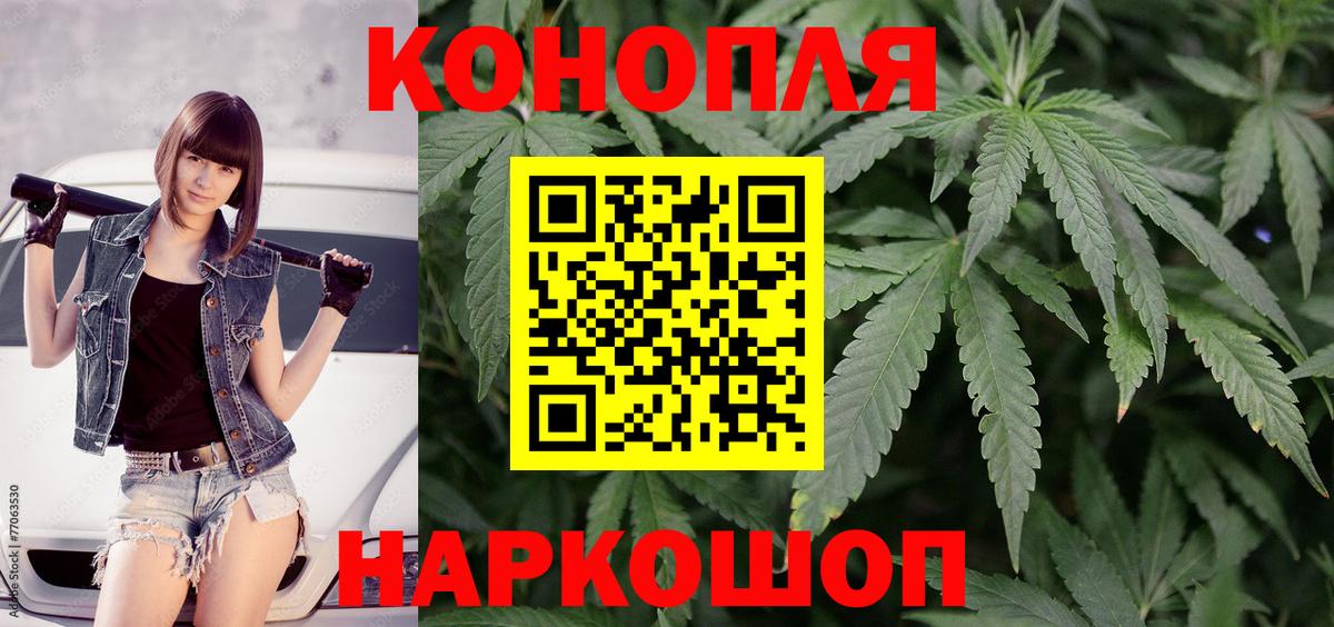 Шишки марихуана планчик Гуково